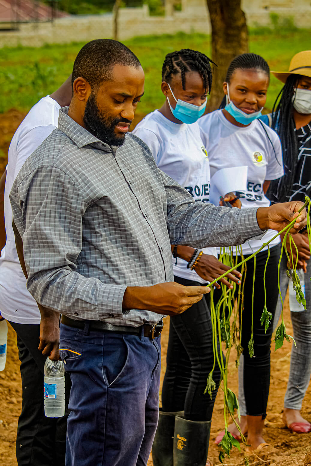 Project OFSP Women Who Farm Africa