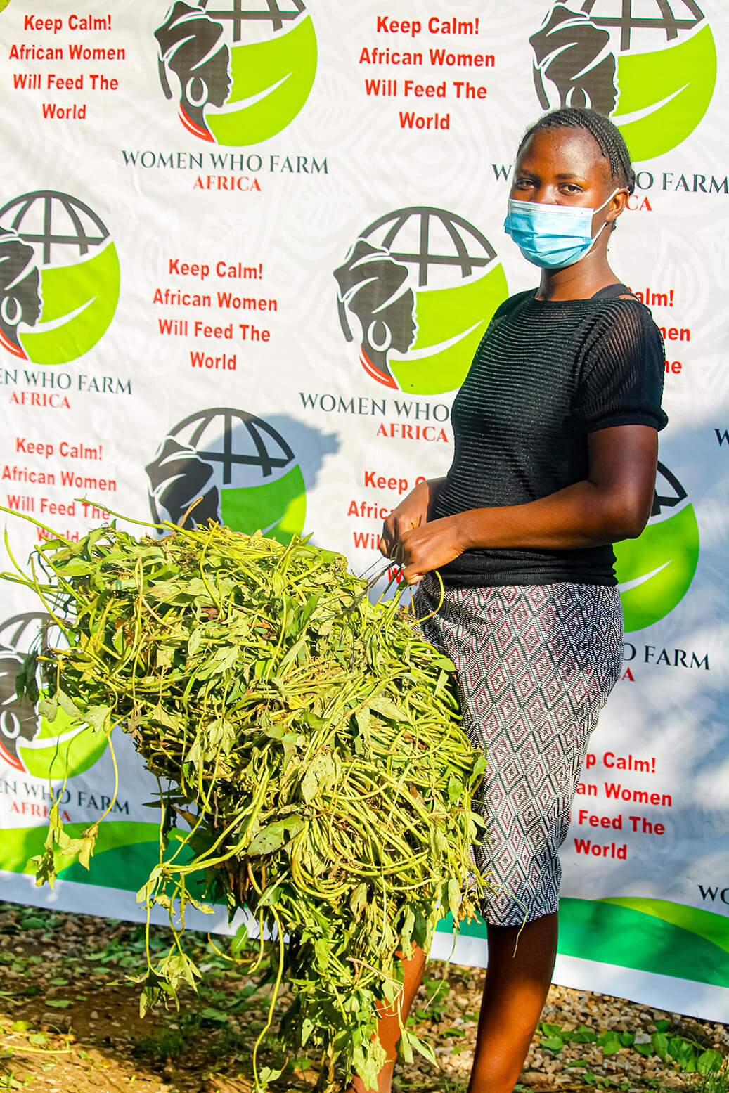 Project OFSP Women Who Farm Africa