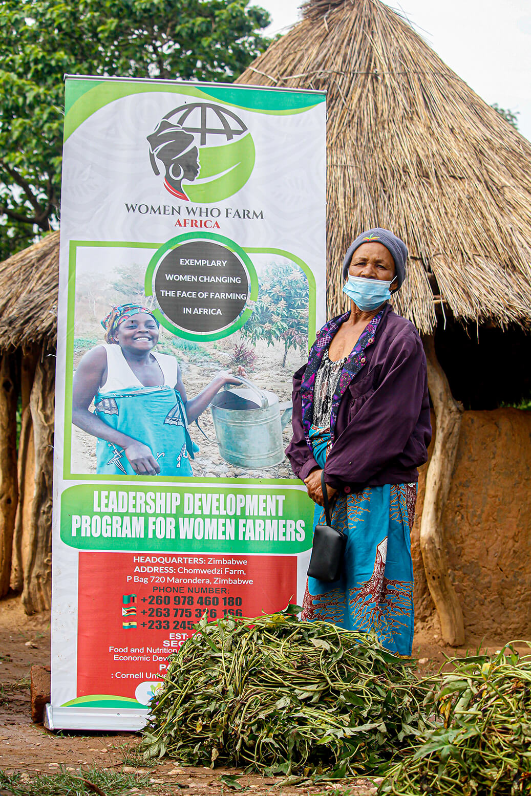 Project OFSP Women Who Farm Africa